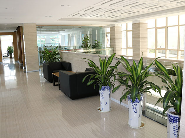 公司場景 公司場景